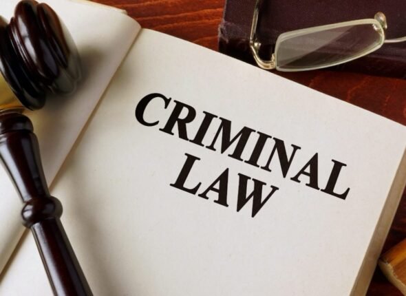 IMG-20260219-WA0020(1)