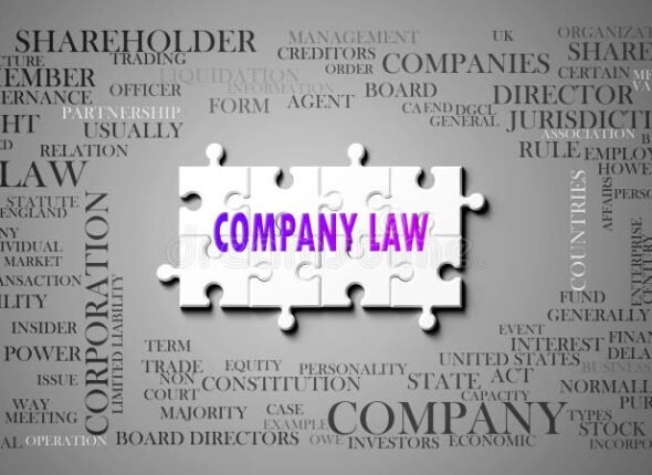 company-law-as-complex-subject-related-to-important-topics-spreading-around-word-cloud-complicated-topic-pictured-small-puzzle-334413630