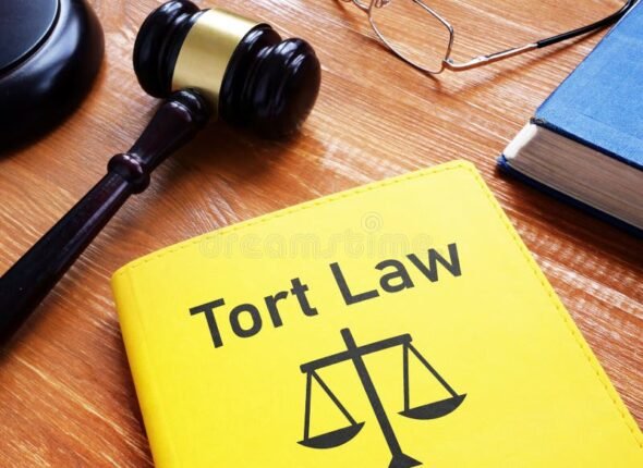 tort-law-shown-using-text-tort-law-shown-using-text-248150587